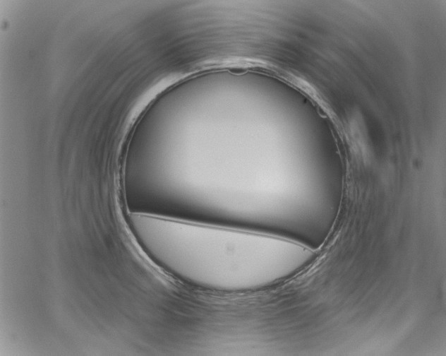 X0000067901187200604131031