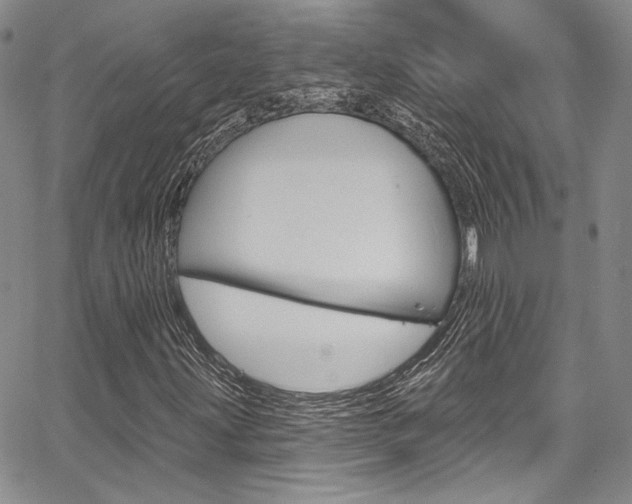 X0000067901203200604131030