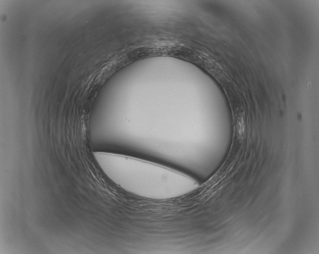 X0000067901204200604131030