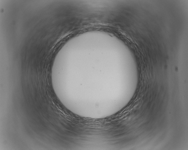 X0000067901206200604131030