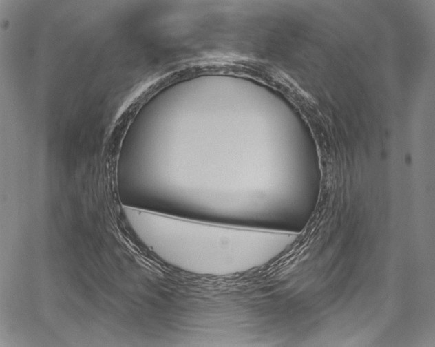 X0000067901208200604131030