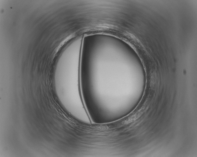 X0000067901210200604131030