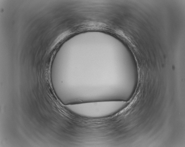 X0000067901211200604131030