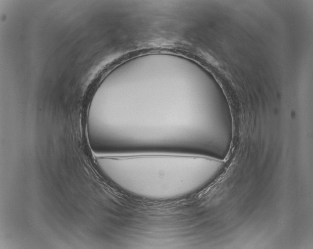 X0000067901214200604131030