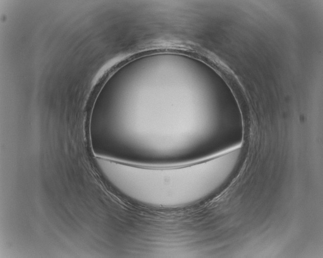 X0000067901222200604131030