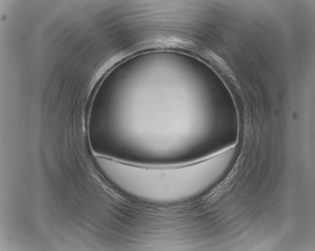 X0000067901226200604131030