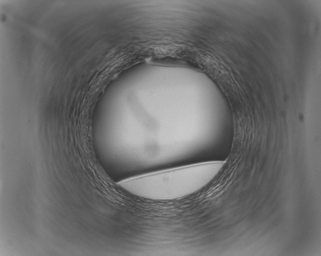 X0000067901249200604131030