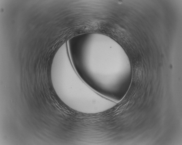 X0000067901250200604131030