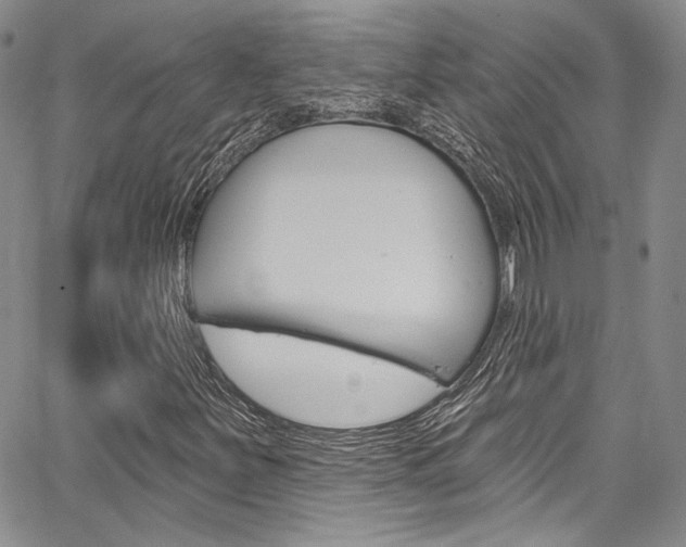 X0000067901251200604131030