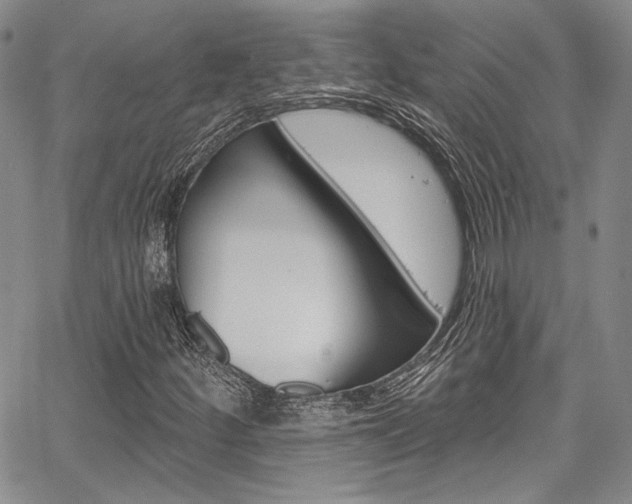 X0000067901252200604131030