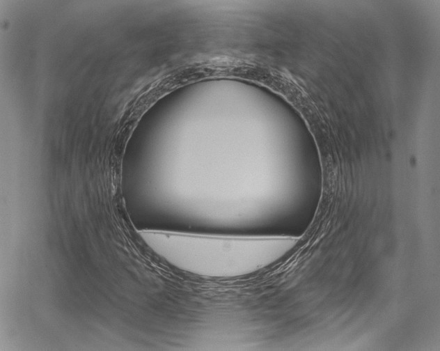 X0000067901253200604131030
