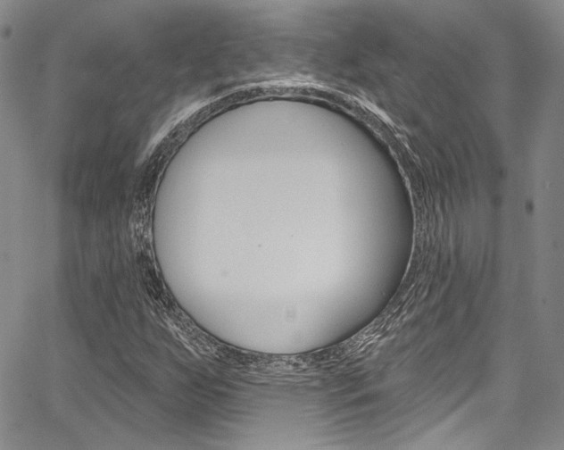 X0000067901255200604131030