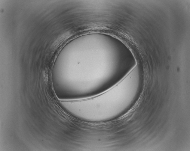 X0000067901257200604131029