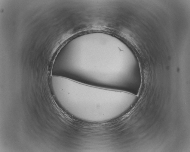X0000067901260200604131029