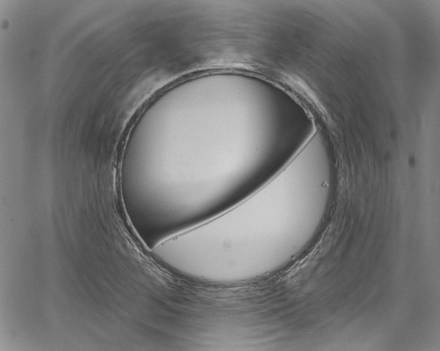 X0000067901268200604131029