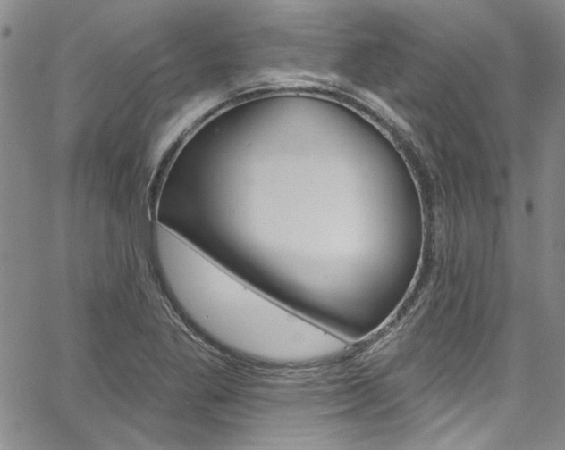 X0000067901269200604131029