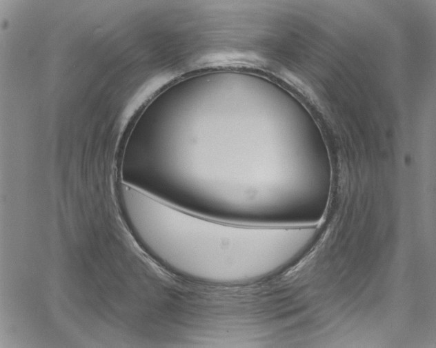 X0000067901277200604131029