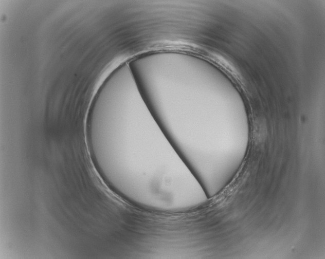 X0000067901283200604131029