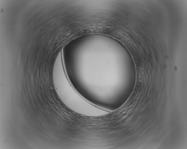 X0000067901298200604131028
