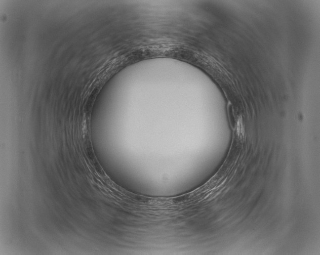 X0000067901299200604131028