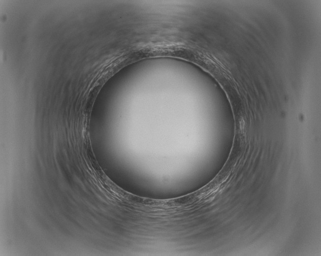 X0000067901300200604131028