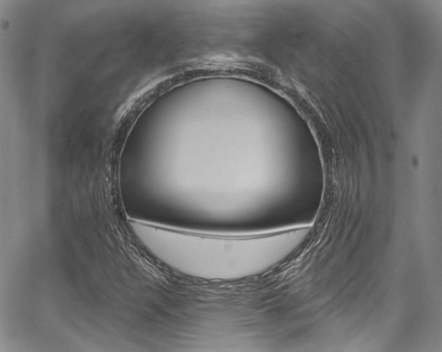 X0000067901304200604131028