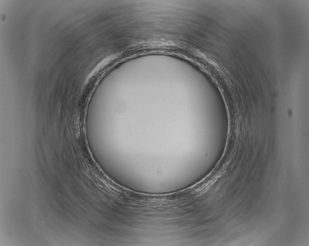 X0000067901306200604131028