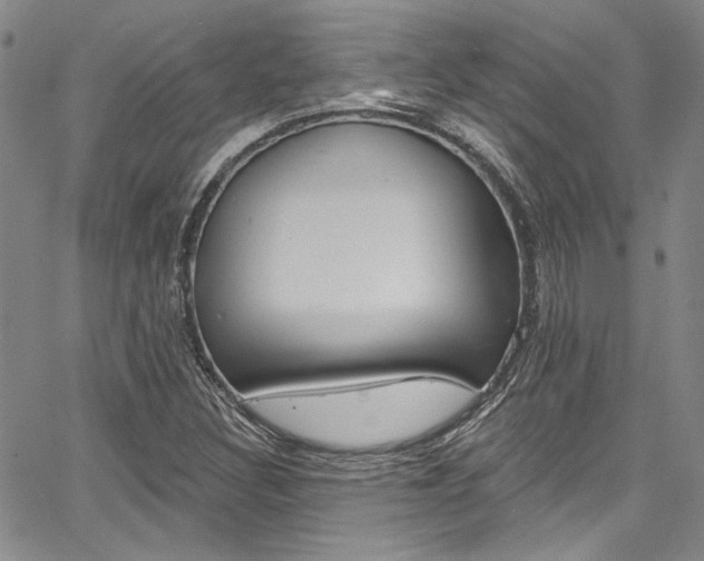 X0000067901308200604131028