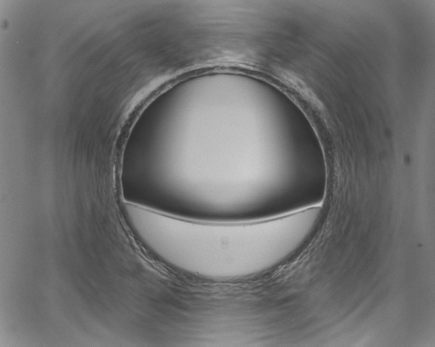 X0000067901316200604131028
