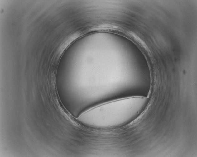 X0000067901329200604131029