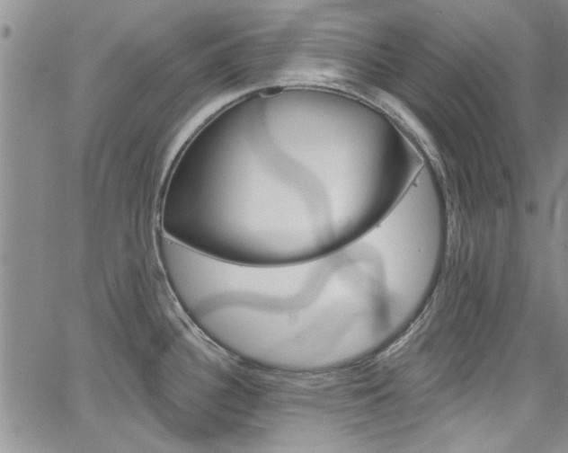 X0000067901340200604131029