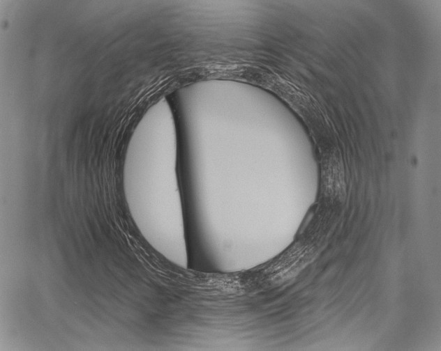 X0000067901346200604131028