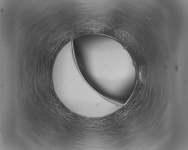 X0000067901347200604131028