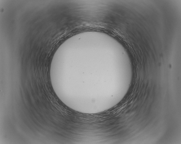 X0000067901348200604131028