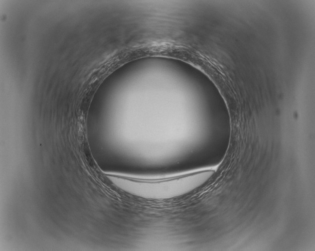 X0000067901349200604131028