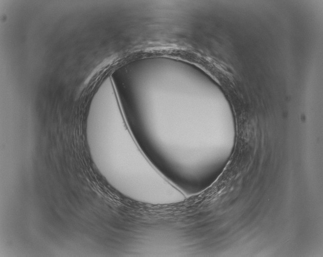 X0000067901351200604131028
