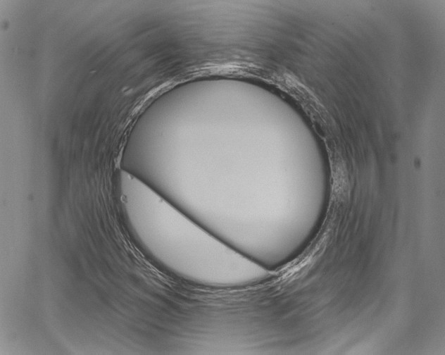 X0000067901353200604131028