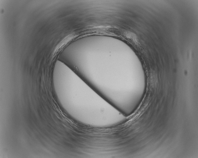 X0000067901354200604131028