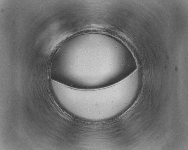 X0000067901355200604131028