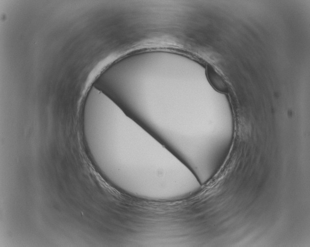 X0000067901366200604131028