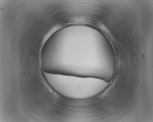 X0000067901370200604131028