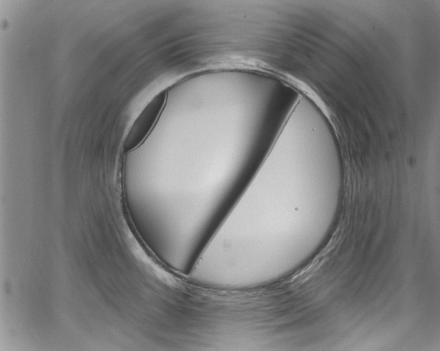 X0000067901387200604131027