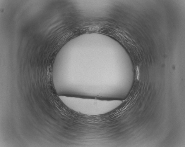 X0000067901395200604131027