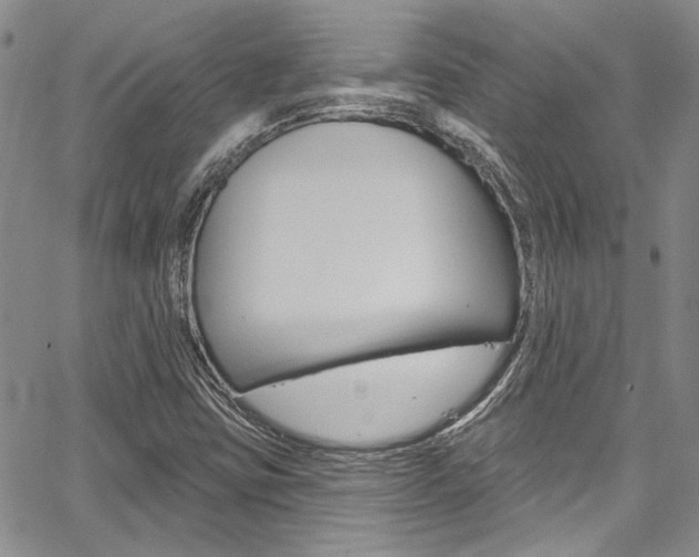 X0000067901403200604131027