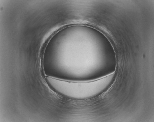 X0000067901414200604131027