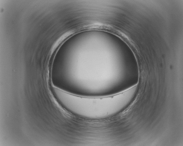 X0000067901418200604131027