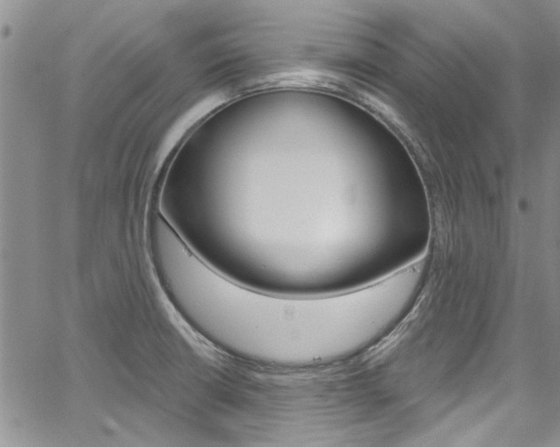 X0000067901426200604131027