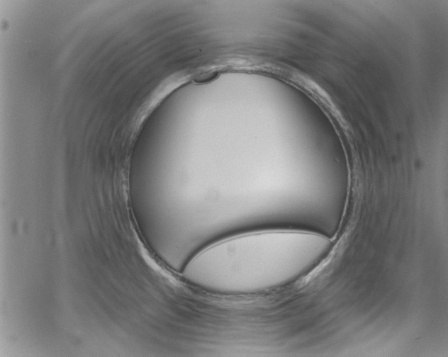 X0000067901433200604131027