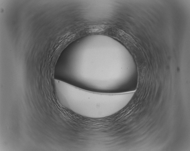 X0000067901441200604131027