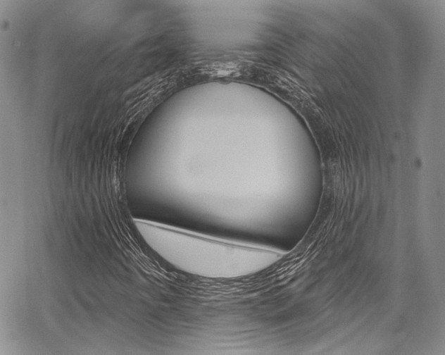 X0000067901442200604131026